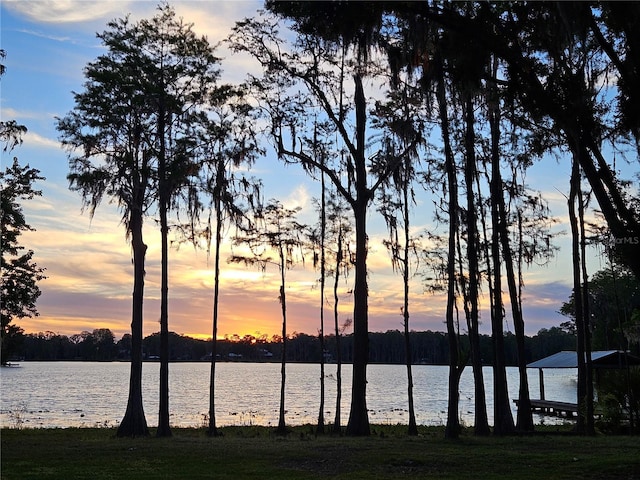 property view of water featuring a dock