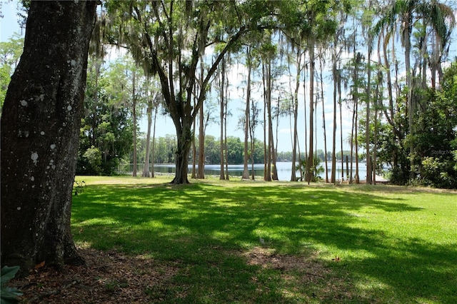 view of nearby features with a yard and a water view