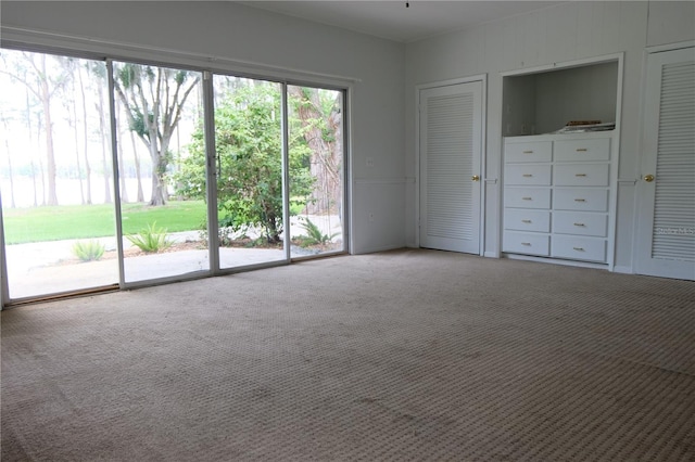 unfurnished bedroom with carpet, a closet, and access to outside