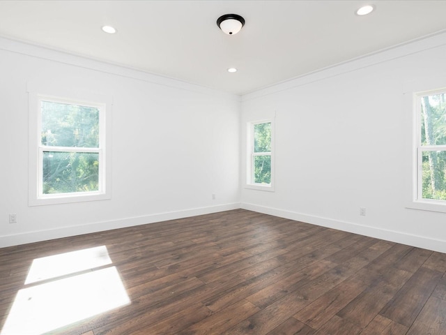 empty room with crown molding and dark hardwood / wood-style flooring