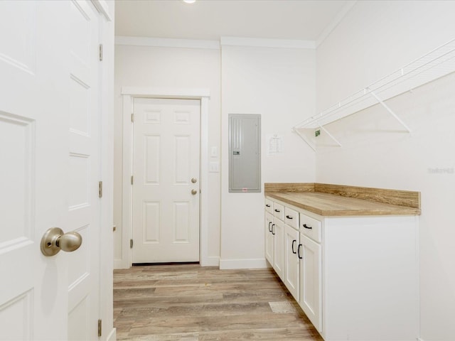 washroom with light hardwood / wood-style flooring and crown molding