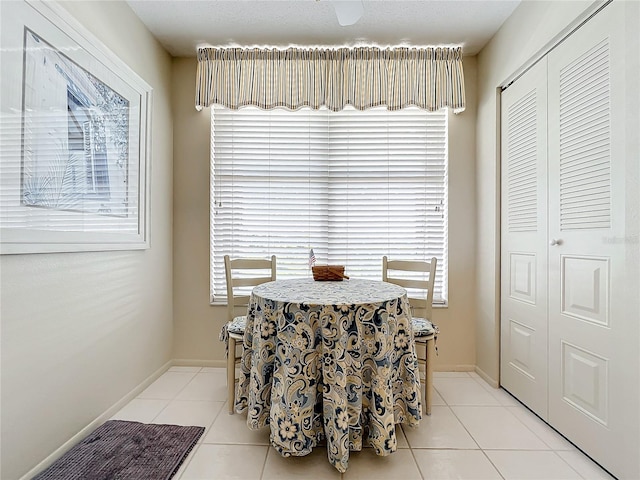 tiled dining space featuring a wealth of natural light