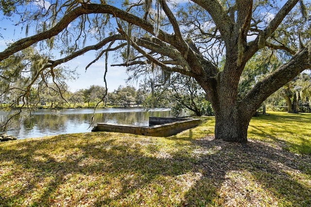 view of dock featuring a lawn and a water view