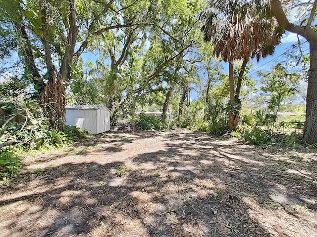 view of yard featuring a storage shed