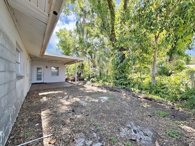 view of yard featuring a patio area