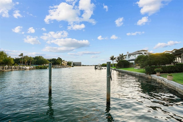 water view featuring a boat dock