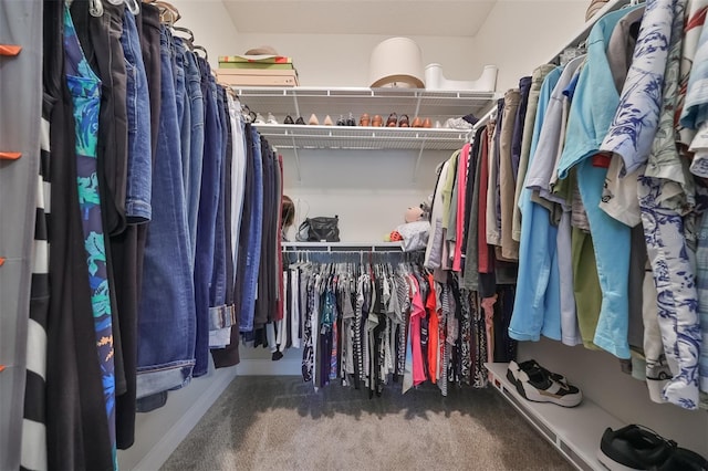 spacious closet with carpet flooring