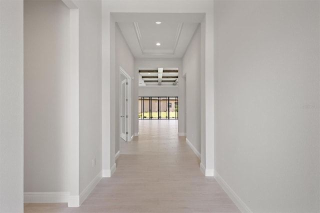 hall featuring light hardwood / wood-style flooring and a tray ceiling