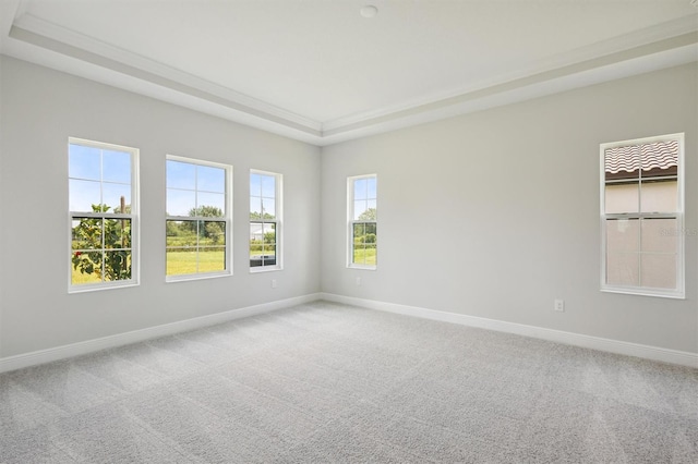 carpeted spare room with a tray ceiling and baseboards