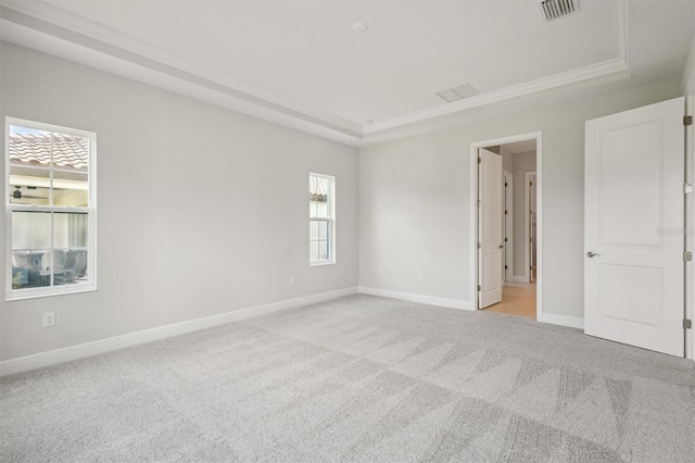 carpeted empty room with crown molding and a raised ceiling