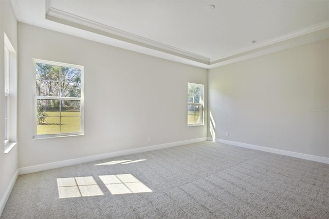 carpeted empty room with a raised ceiling and ornamental molding