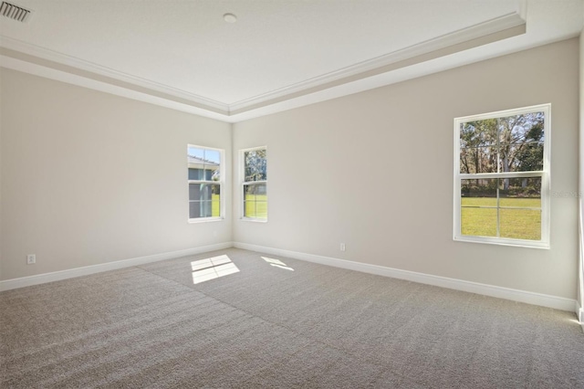 carpeted empty room featuring a tray ceiling, crown molding, and plenty of natural light