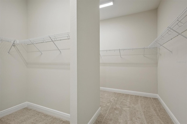 spacious closet with light colored carpet