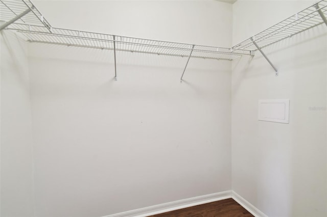 walk in closet featuring hardwood / wood-style floors