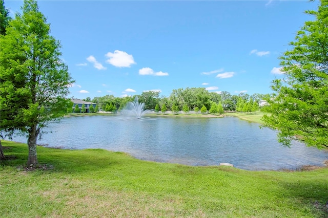 property view of water