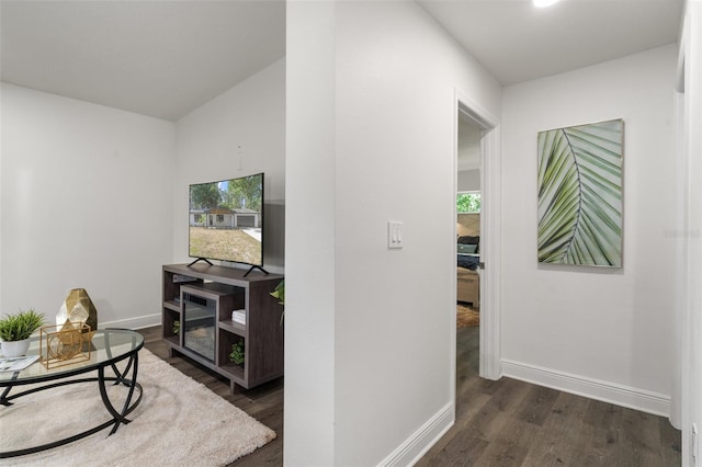 interior space featuring dark hardwood / wood-style floors