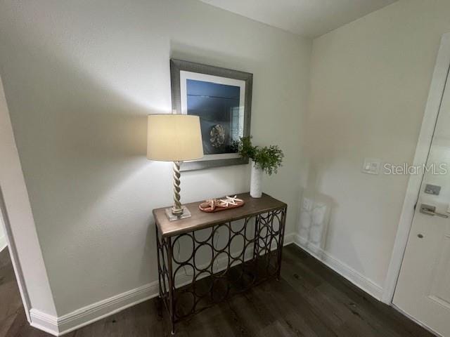 hallway with dark wood-type flooring