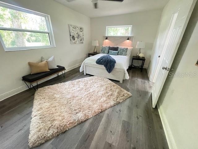 bedroom featuring ceiling fan, dark wood-type flooring, and multiple windows