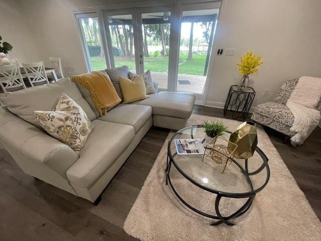 living room featuring french doors and dark wood-type flooring