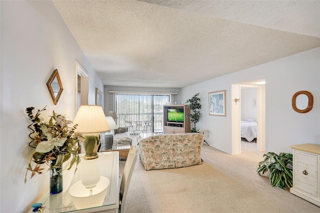 living room with carpet flooring and a textured ceiling