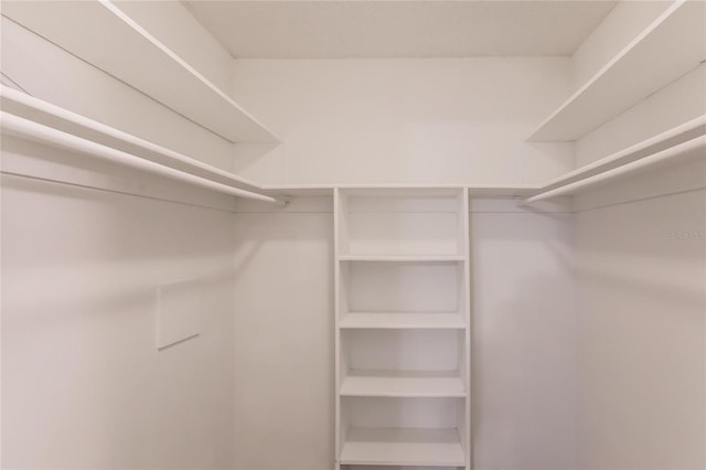 view of walk in closet