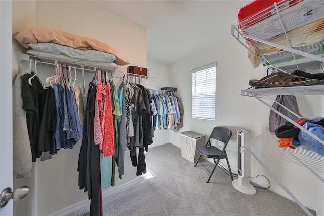 walk in closet with carpet floors