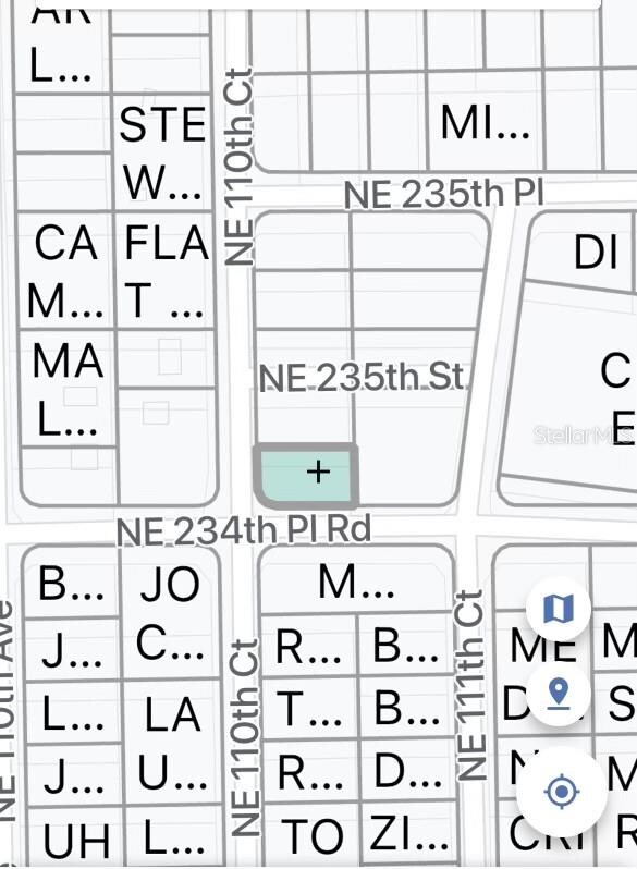 TBD NE 234 Place Rd, Fort Mc Coy, FL 32134 - photo 1