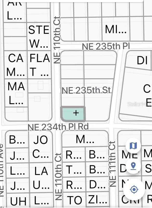 TBD NE 234 Place Rd, Fort Mc Coy, FL 32134 - photo 1