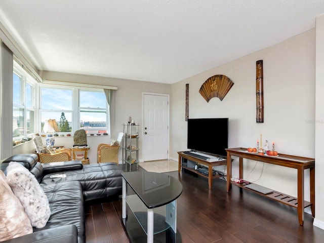 living room with wood-type flooring