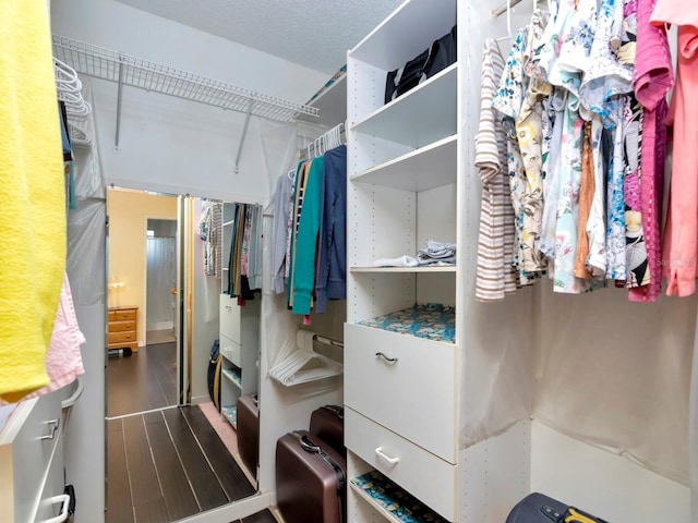 spacious closet featuring hardwood / wood-style floors