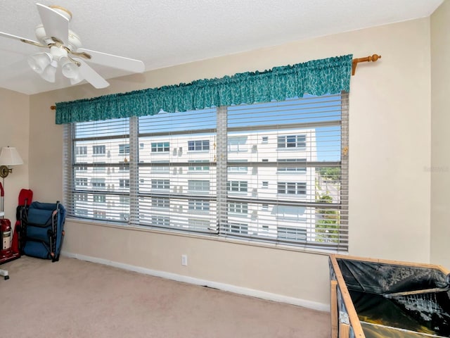 misc room with ceiling fan, carpet, and a textured ceiling