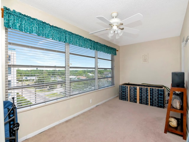 carpeted office space with ceiling fan, a healthy amount of sunlight, and a textured ceiling