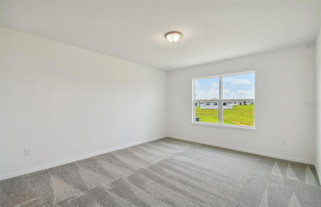 spare room featuring light carpet