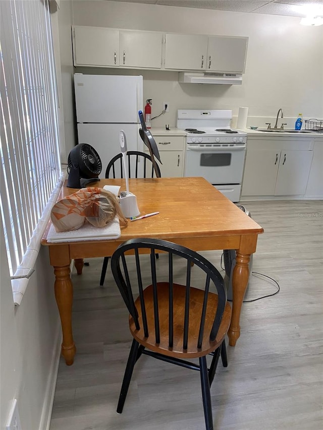 dining room with light hardwood / wood-style floors and sink