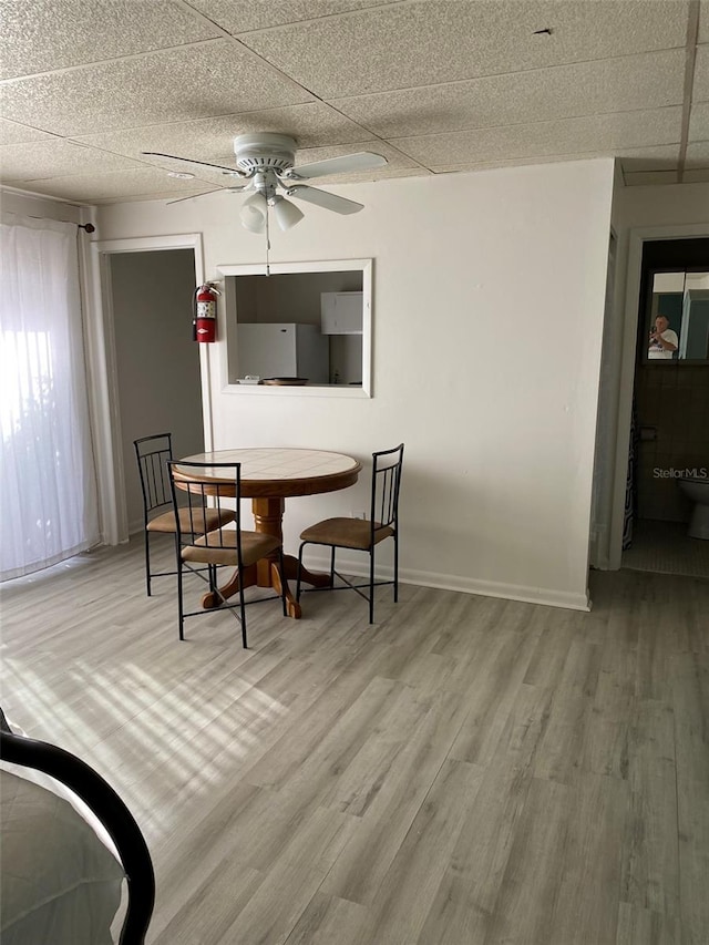 dining room with light hardwood / wood-style flooring, ceiling fan, and a paneled ceiling