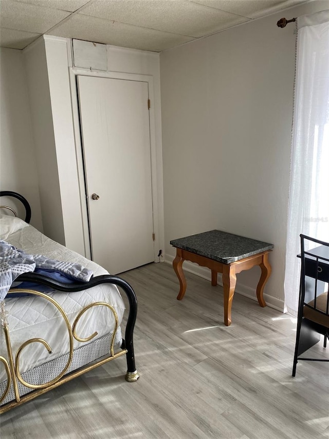 bedroom with a drop ceiling, a closet, and light wood-type flooring