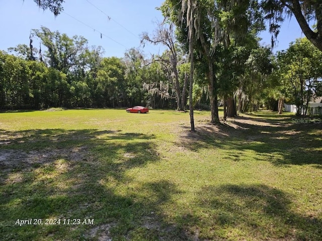 view of yard