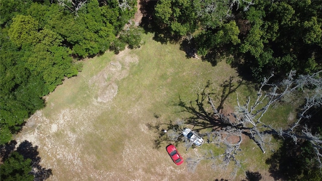 view of bird's eye view