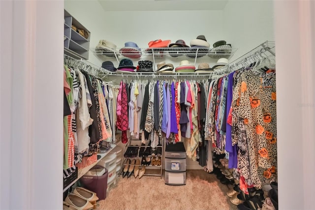 spacious closet featuring carpet floors