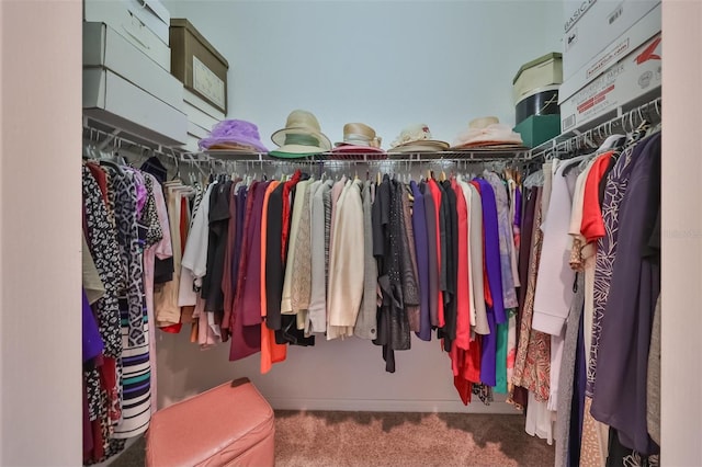 spacious closet featuring carpet floors