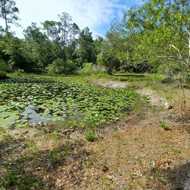 view of landscape