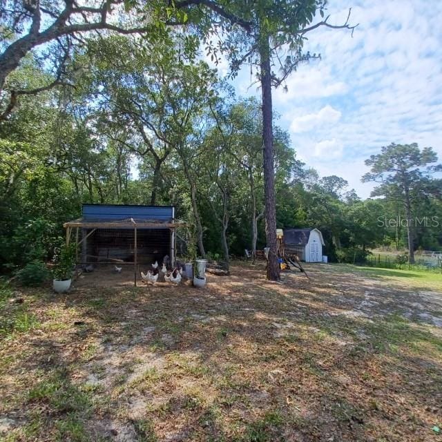 view of yard featuring a storage unit