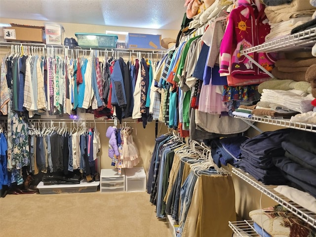 spacious closet featuring carpet