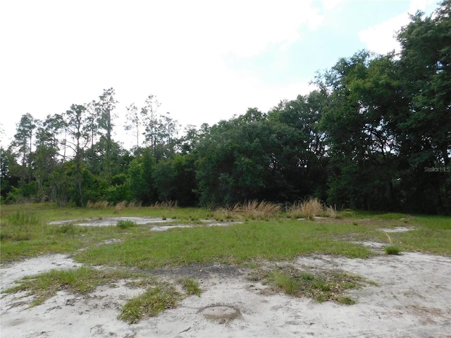 118 Orchidgrove Ln, Dover FL, 33527 land for sale