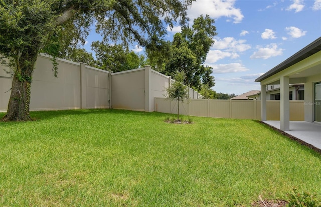 view of yard featuring a patio area