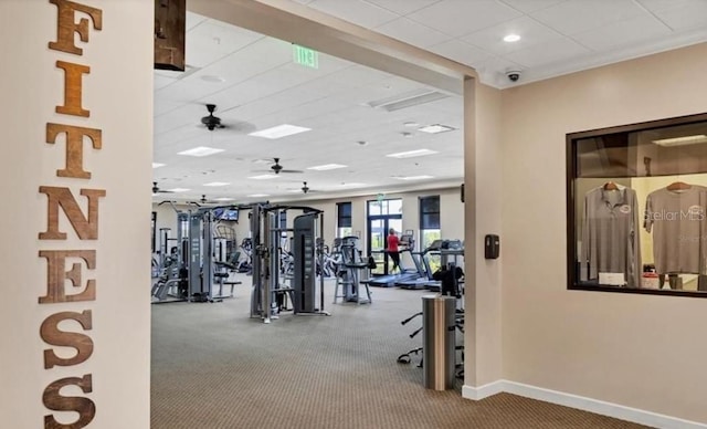 gym featuring a drop ceiling, ceiling fan, and carpet