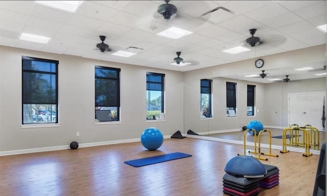 exercise room with a drop ceiling, hardwood / wood-style floors, and ceiling fan