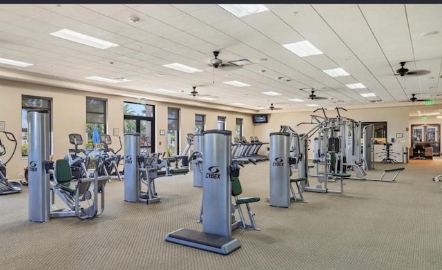 workout area featuring ceiling fan and carpet