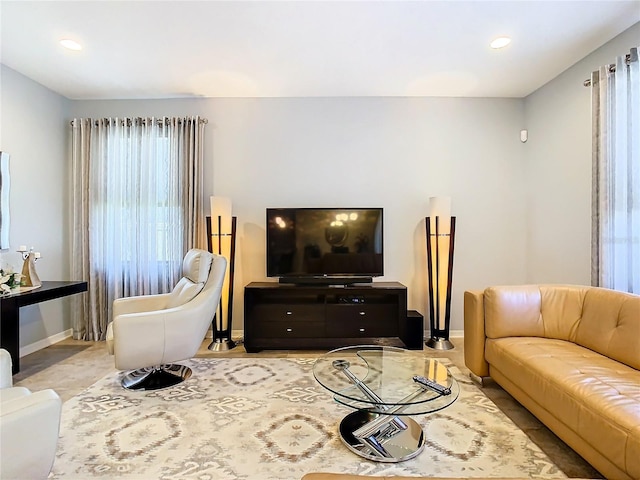 living room with a wealth of natural light