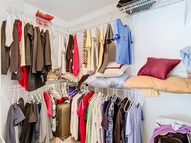 view of spacious closet